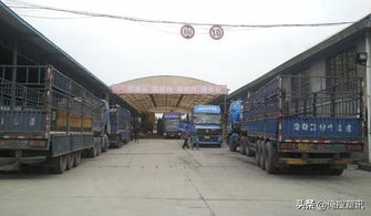 警惕！废品运输雷区 违规载货最高罚十万，安全合规方能行稳致远